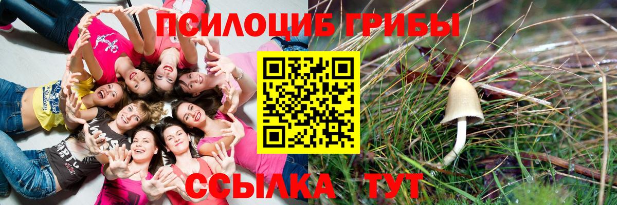 Псилоцибиновые грибы MAGIC MUSHROOMS Благовещенск