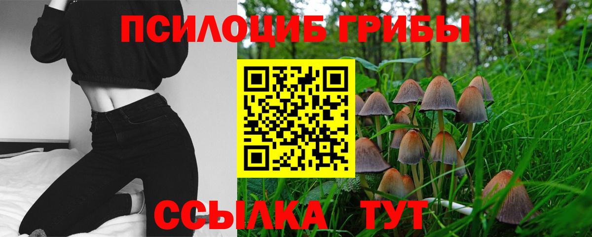 Благовещенск  Псилоцибиновые грибы прущие грибы  Вход с VPN  Псилоцибиновые грибы мицелий 